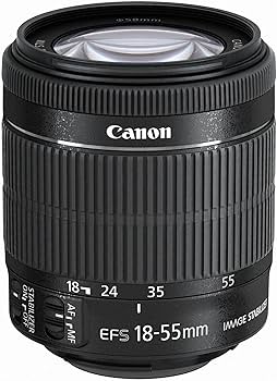 Canon EF-S 18-55mm f/3.5-5.6 is STM Lens : Amazon.in: Electronics